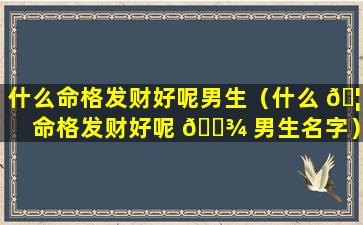 什么命格发财好呢男生（什么 🦟 命格发财好呢 🌾 男生名字）